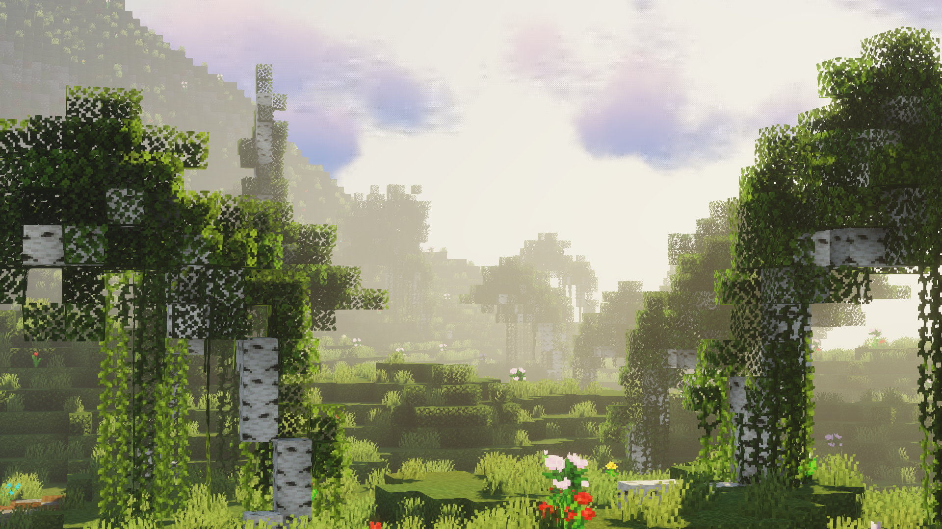 Laevis Network Survival Base